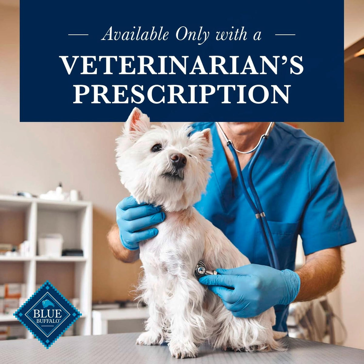 Imported veterinary formula dry dog food for canine kidney health management