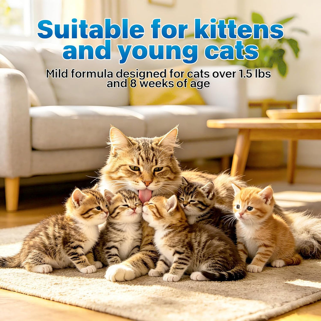 Twelve individual one milliliter tubes of cat flea treatment laid out