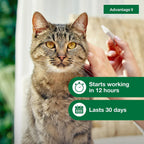 Close-up of the waterproof formula benefit badge on the Advantage II Large Cat packaging.
