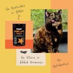 Diggin' Your Dog Firm Up pumpkin packaging details