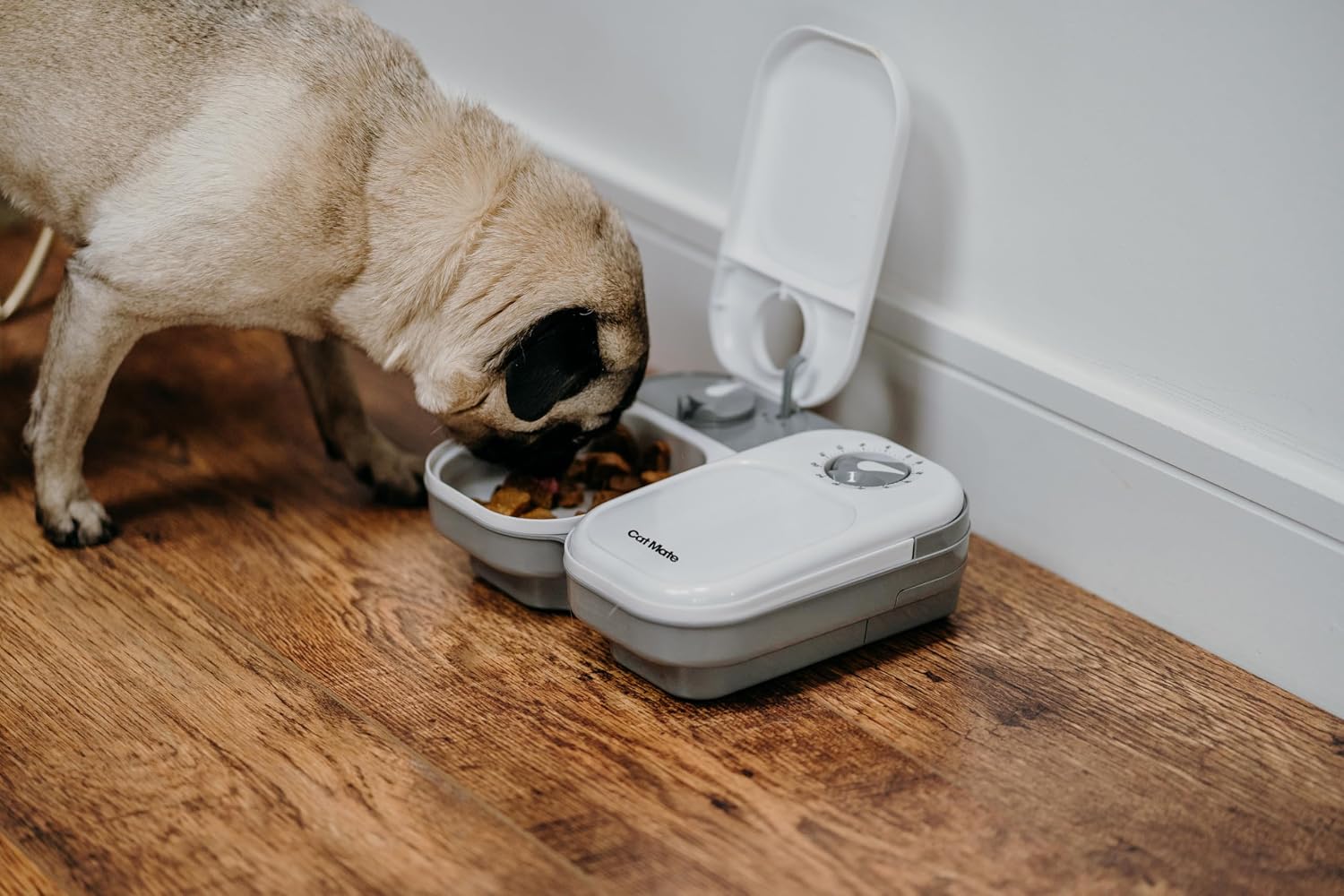 Imported automatic dog and cat feeder with cooling pack insert visible