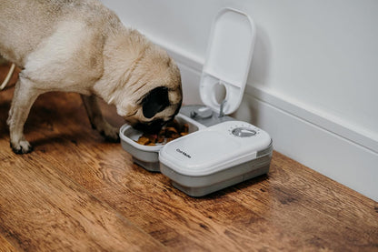 Imported automatic dog and cat feeder with cooling pack insert visible