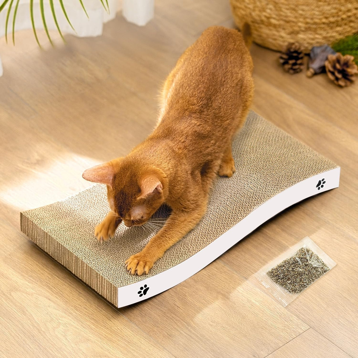 Coching cat scratcher cardboard curved scratch pad front view