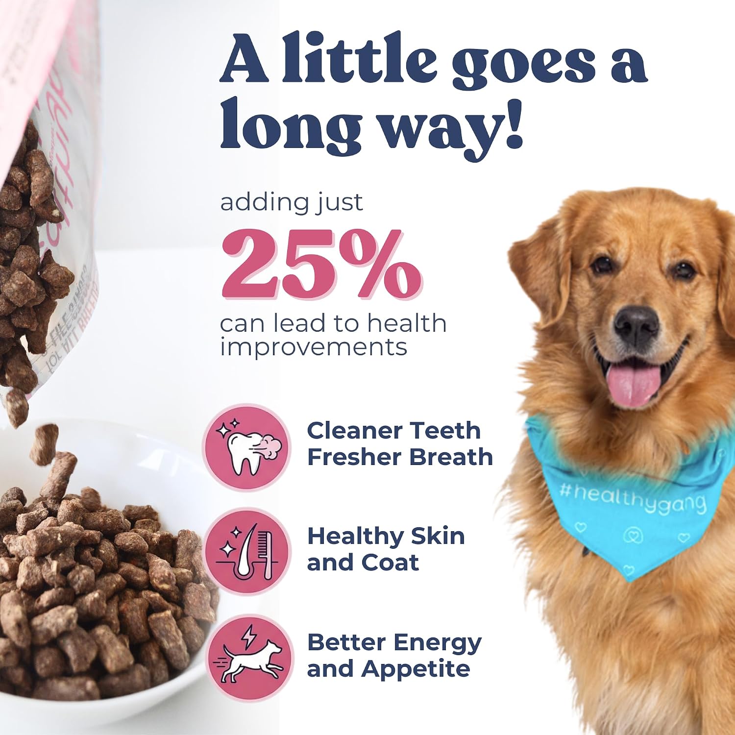 Healthybud 14.1 ounce freeze dried raw dog food bag