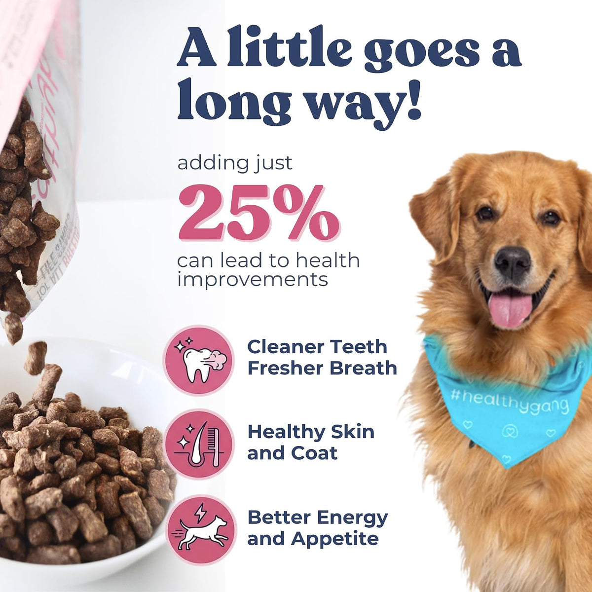 Healthybud 14.1 ounce freeze dried raw dog food bag