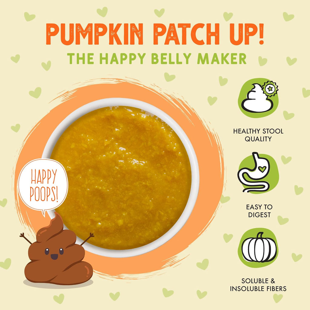 Close up of pureed pumpkin texture for dogs and cats