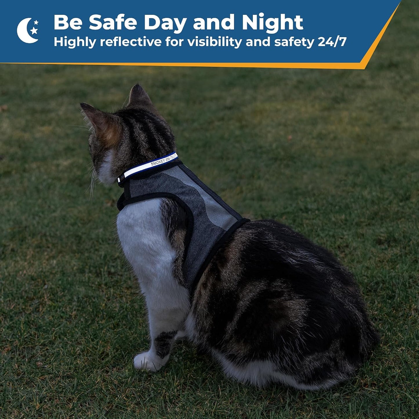GoTags customizable kitten collar nylon webbing with smooth tapered comfortable edges