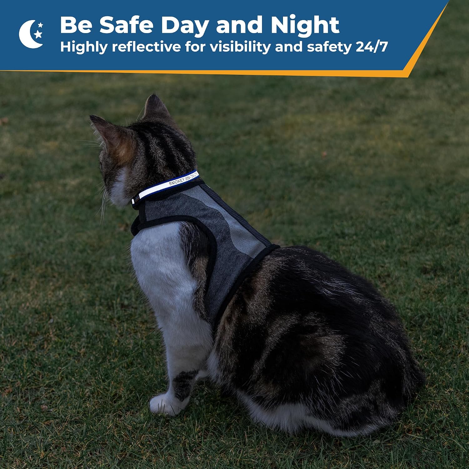 GoTags customizable kitten collar nylon webbing with smooth tapered comfortable edges