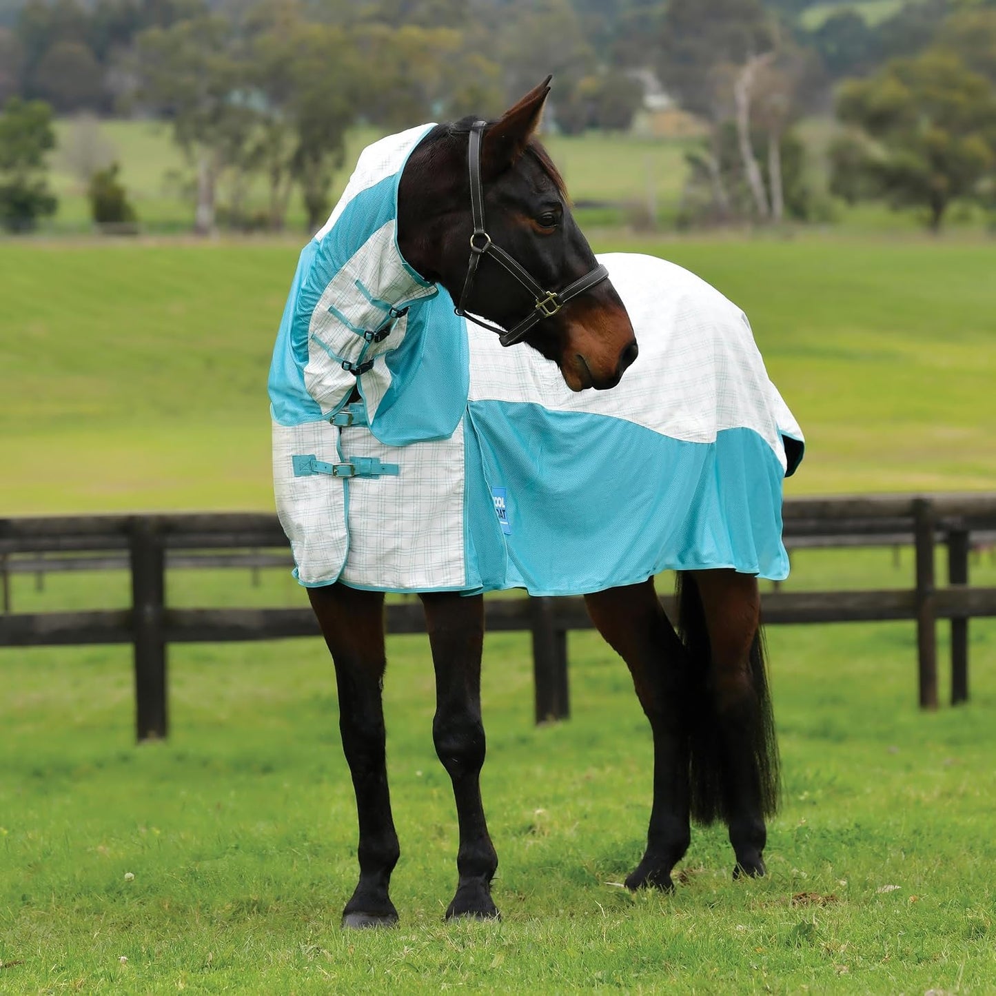 Kool Coat summer horse blanket side profile displaying the breathable polyester mesh lower panels
