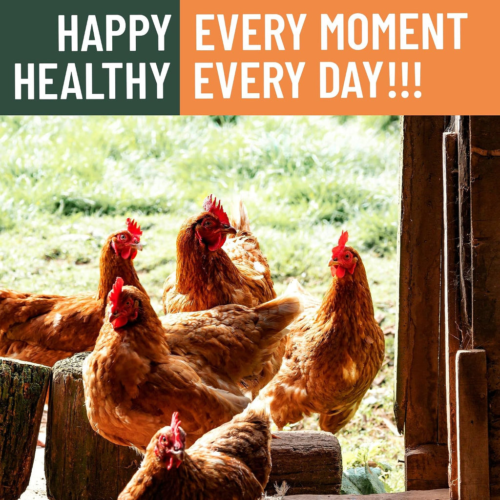 Handful of natural dried insect feed for poultry health