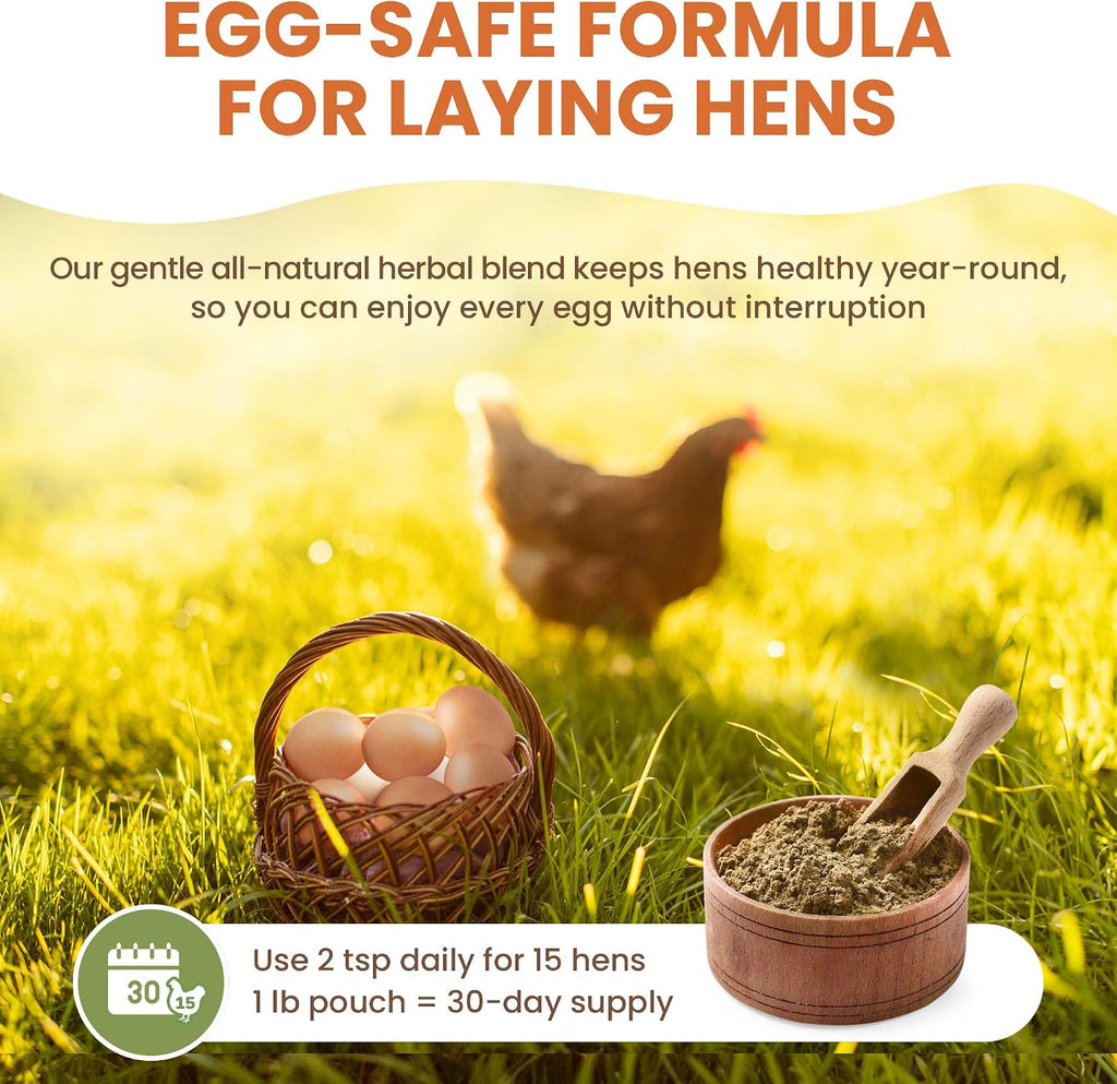 Happy chickens in a coop eating feed with natural dewormer mix