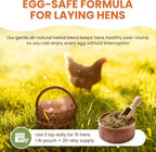 Happy chickens in a coop eating feed with natural dewormer mix