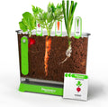 Discovery Kids Edible Veggie Garden Watch It Grow Kit front view packaging showing transparent root viewer