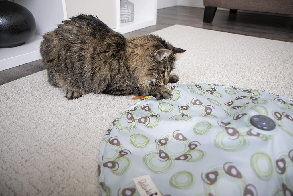 Petlinks Mystery Motion Concealed Electronic Motion Cat Toy, Battery Powered - Randomly Selected Color, One Size - Image 11
