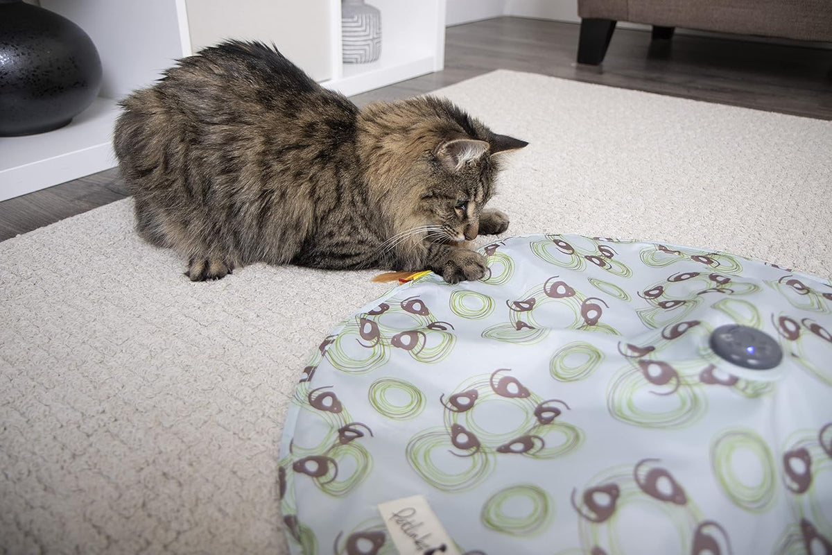 Petlinks Mystery Motion Concealed Electronic Motion Cat Toy, Battery Powered - Randomly Selected Color, One Size - Image 11