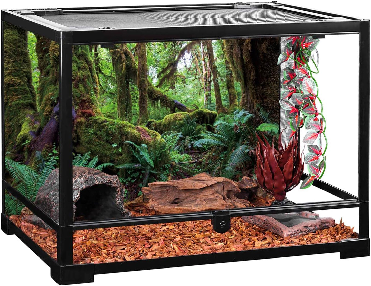 AWERT Hoh Rain Forest style non glare fish tank background poster illustration.