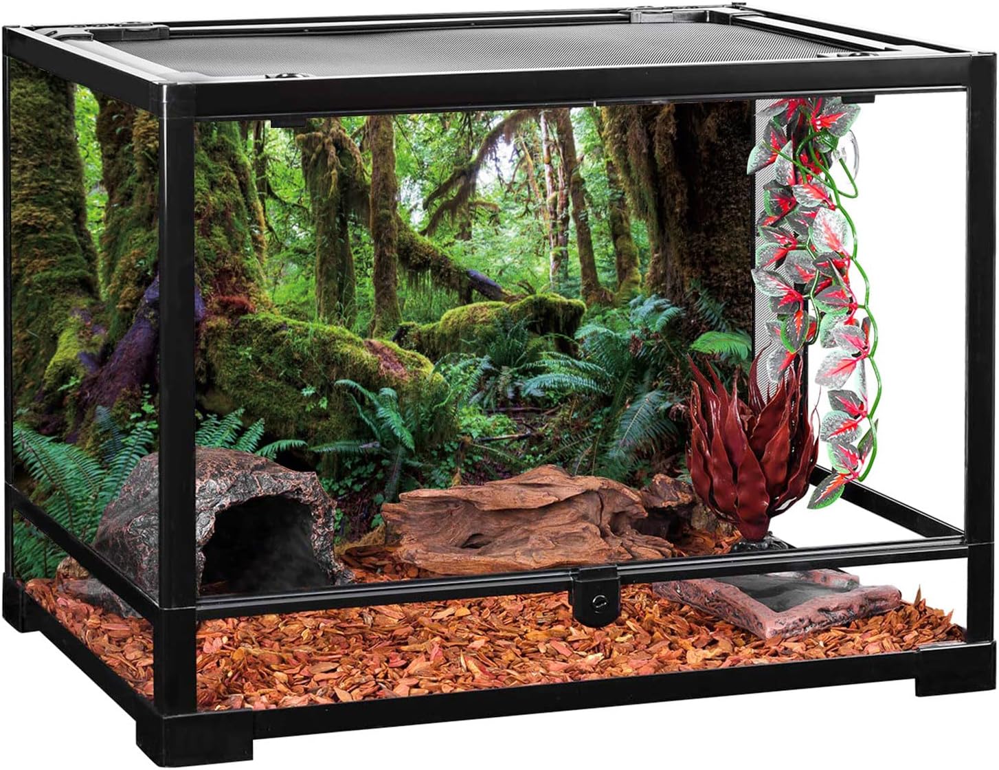 AWERT Hoh Rain Forest style non glare fish tank background poster illustration.