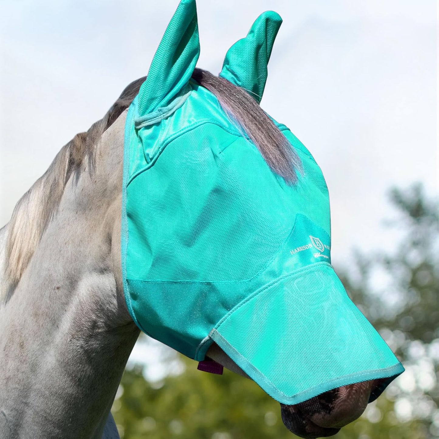 Harrison Howard horse fly mask showing long nose coverage