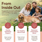 Natural immune support tincture for dogs and cats