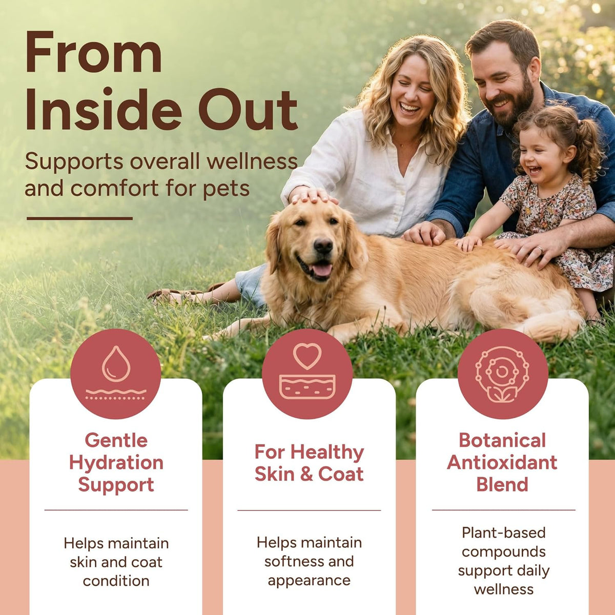 Natural immune support tincture for dogs and cats