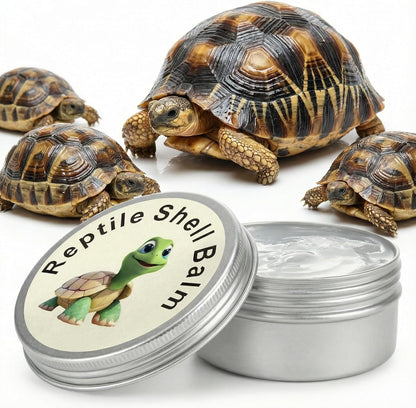 Side profile of Ropto shell conditioner for tortoises
