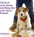 Back label details of Harbor's Pet Products Baby Powder scent spray for dogs.