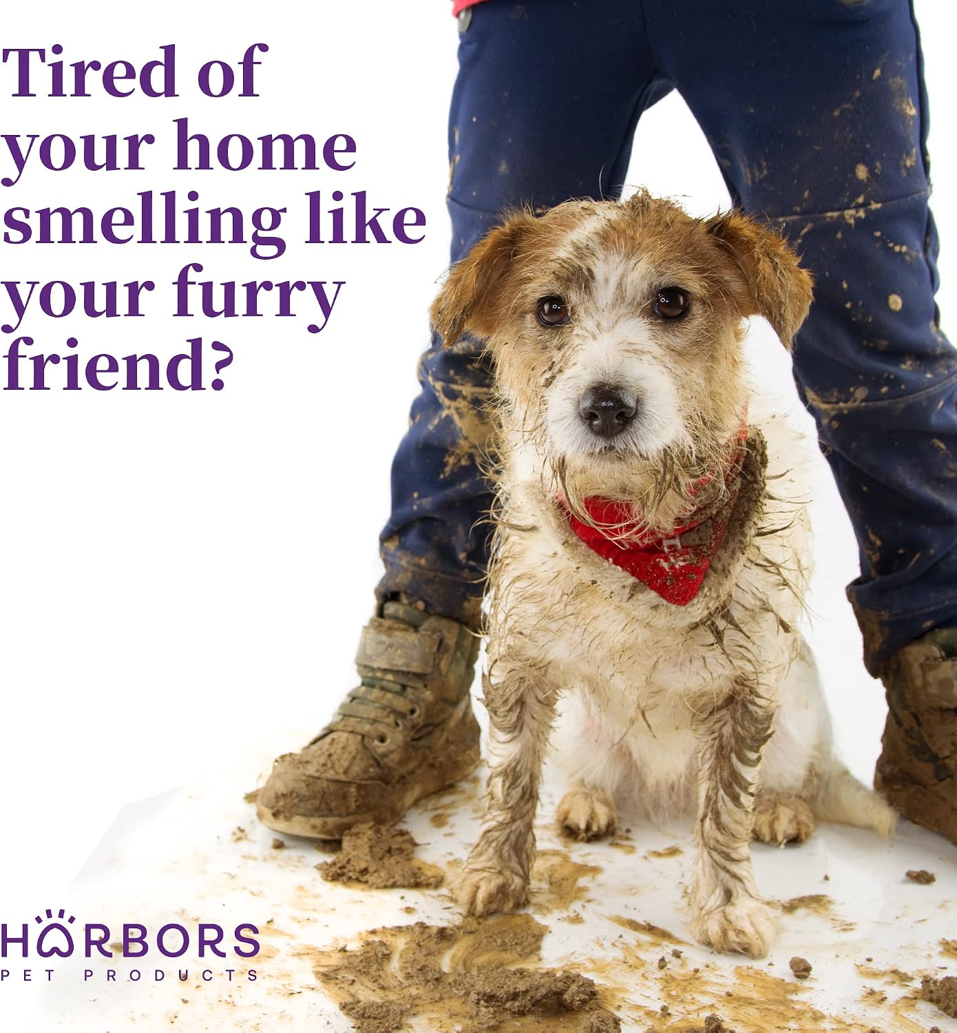 Back label details of Harbor's Pet Products Baby Powder scent spray for dogs.