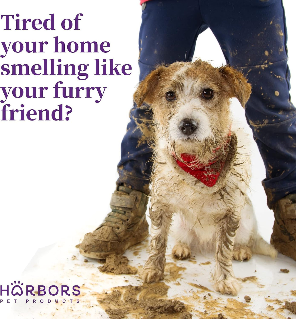 Back label details of Harbor's Pet Products Baby Powder scent spray for dogs.