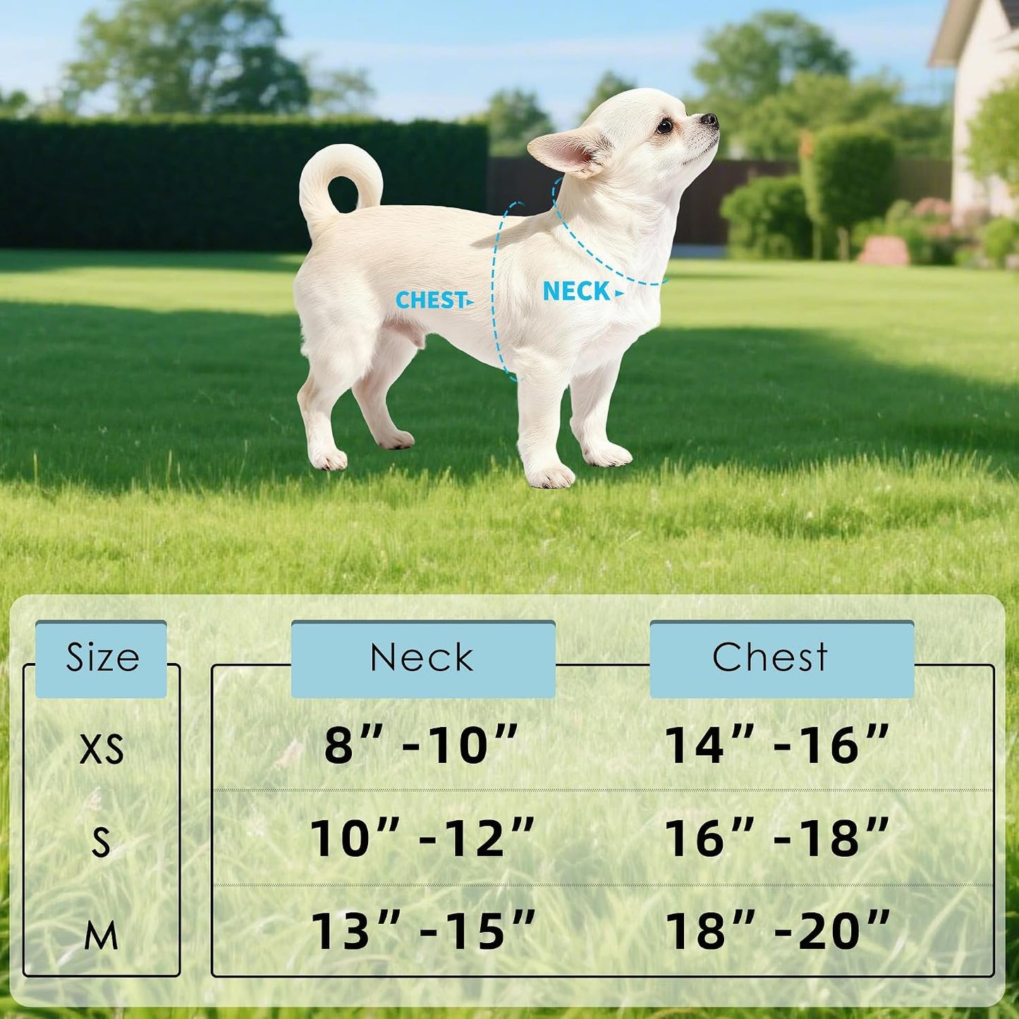 Mile High Life dog harness adjustable velcro closure detail