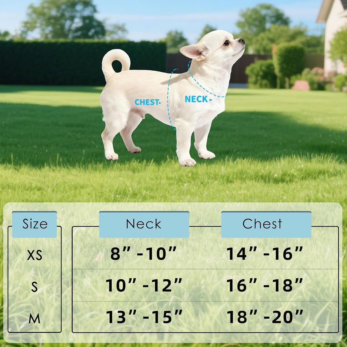Mile High Life dog harness adjustable velcro closure detail