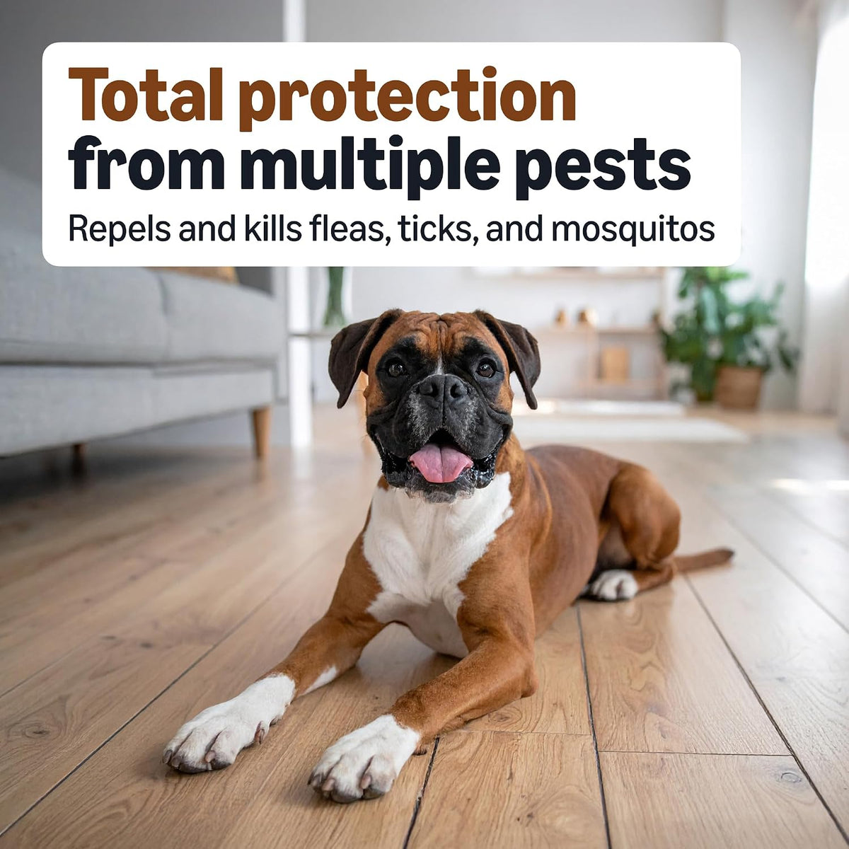 Solimo flea and tick preventative treatment active ingredients panel