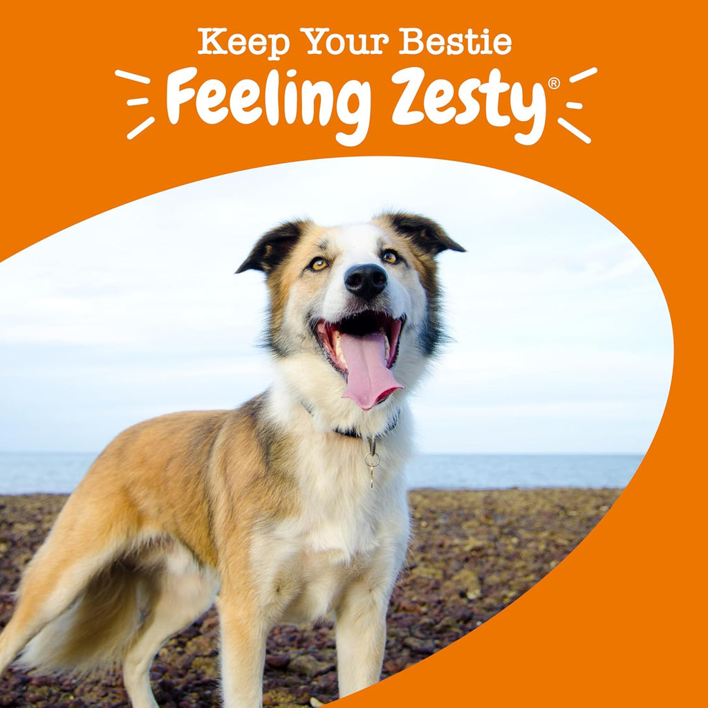 Graphic showcasing Zesty Paws joint and skin health benefits