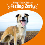 Graphic showcasing Zesty Paws joint and skin health benefits