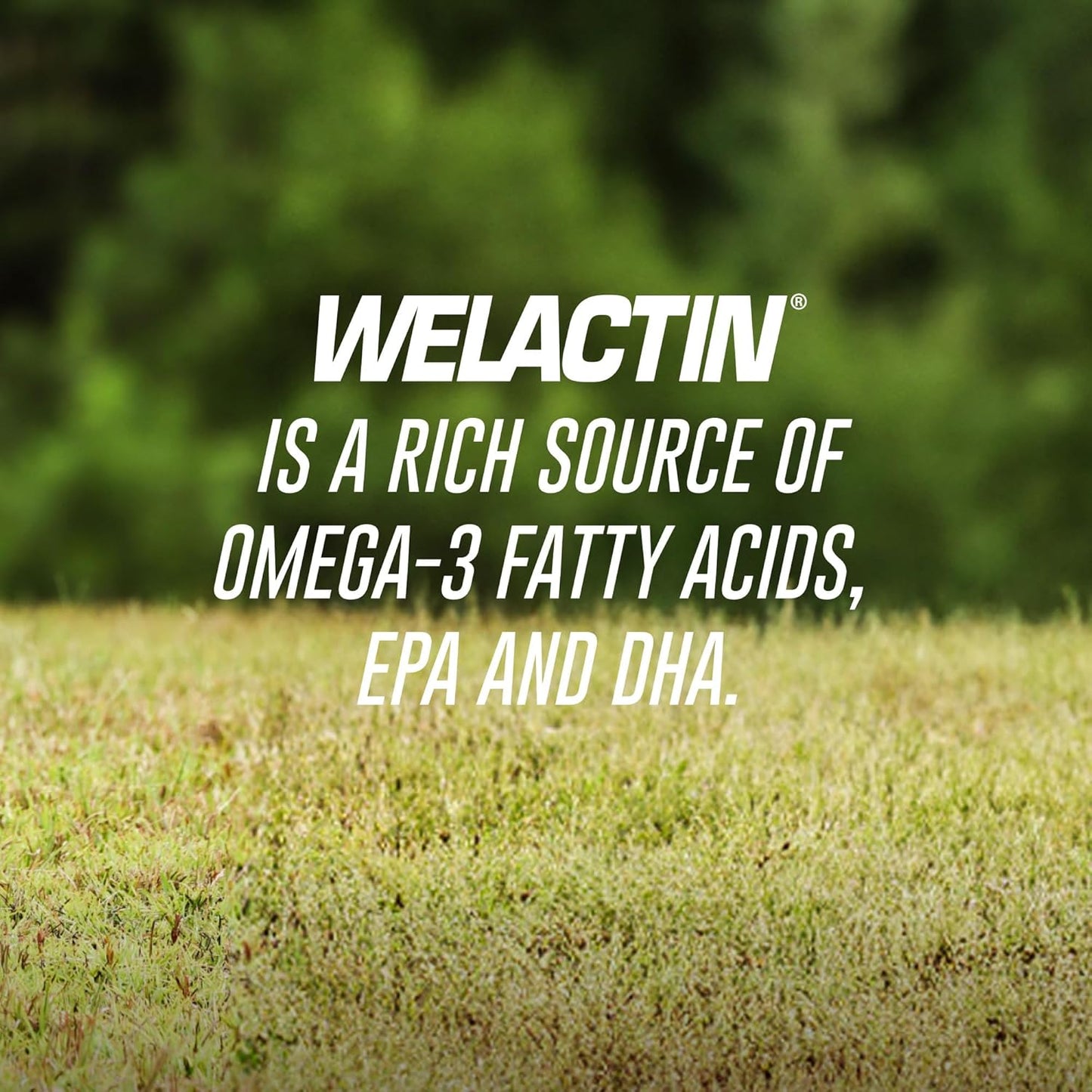 Authentic USA imported Welactin canine softgels showing nutritional breakdown of EPA and DHA.