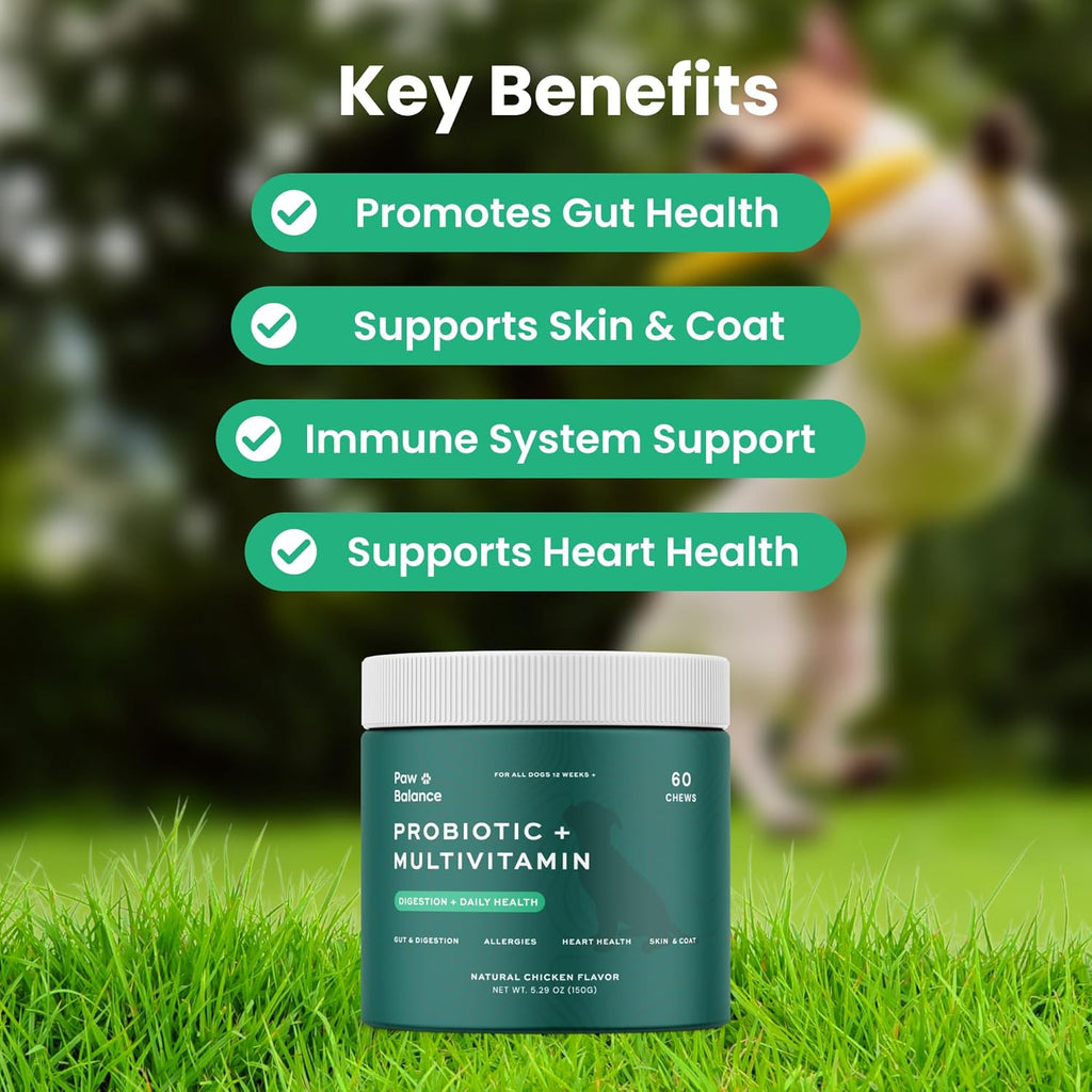 Natural chicken flavored daily canine supplement for dog allergy relief.