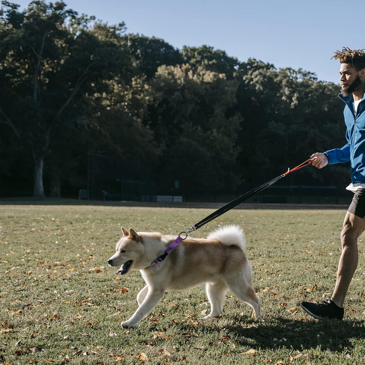 Luckydc heavy duty dog training collar detailing the secure limited cinch loop setup.