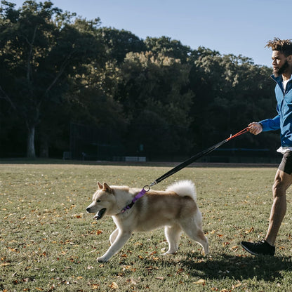 Luckydc heavy duty dog training collar detailing the secure limited cinch loop setup.