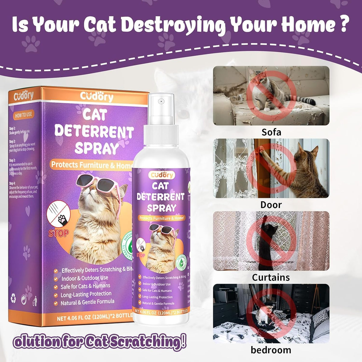 Pet behavioral training aid spray bottle protecting electrical power cords