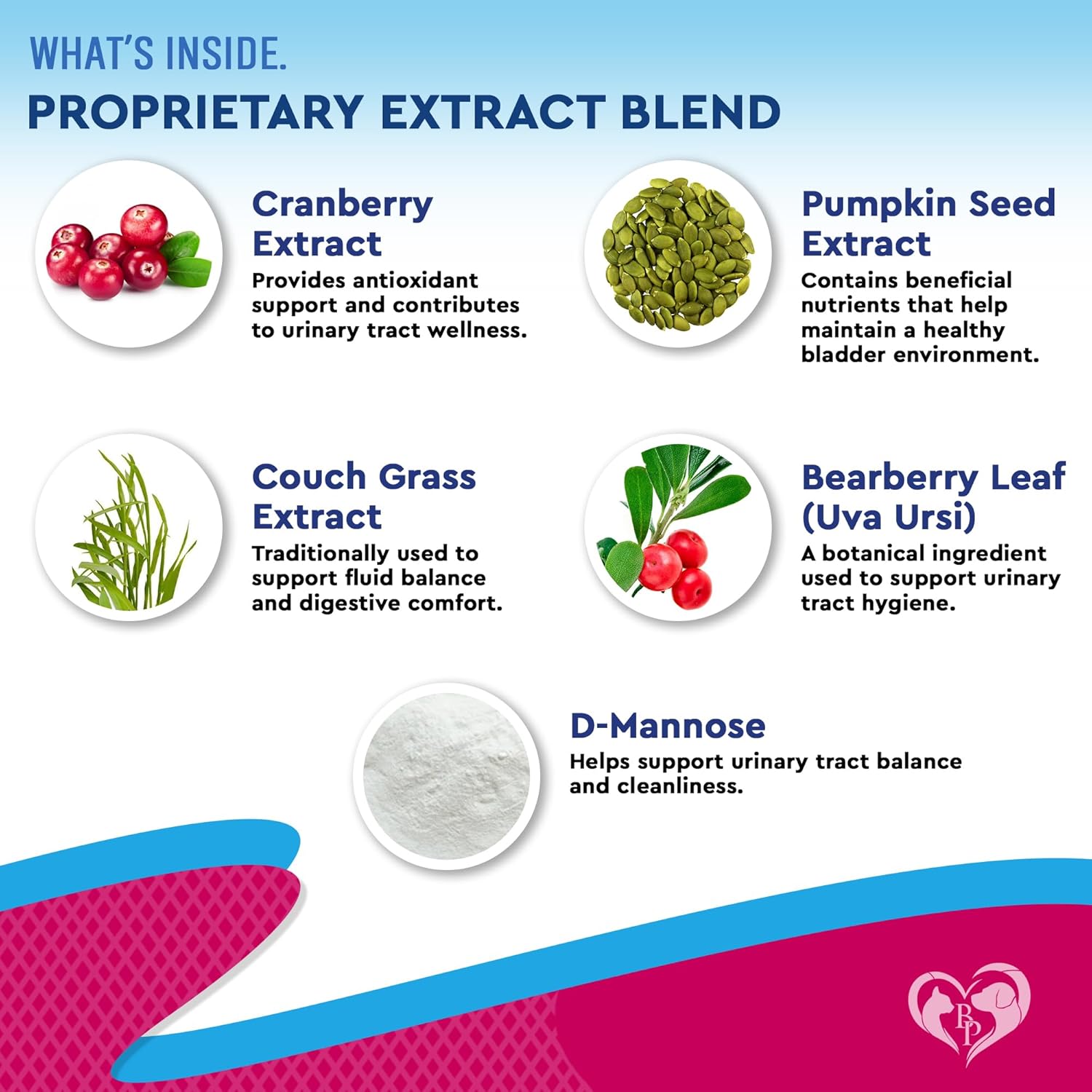 Beloved Pets pet renal care supplement bottle highlighting ingredients for cat and dog health