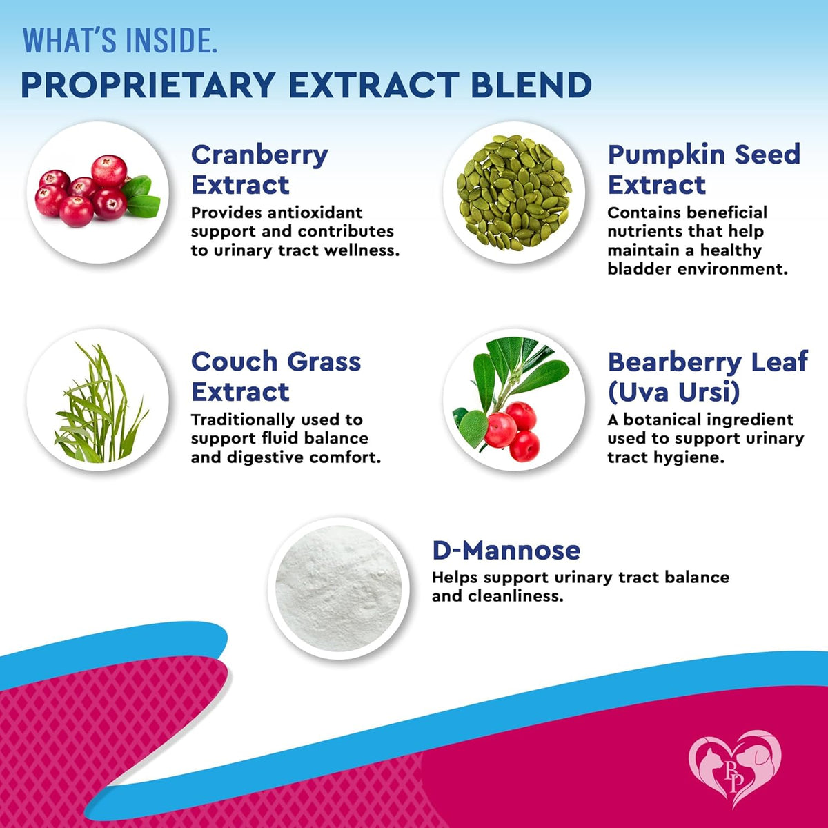 Beloved Pets pet renal care supplement bottle highlighting ingredients for cat and dog health