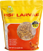 Various backyard birds including ducks and chickens consuming dried insect supplement