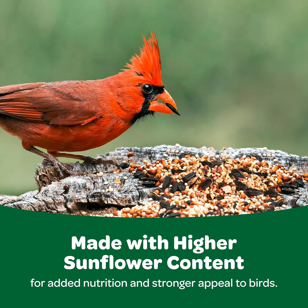 Kaytee 5lb bird food bag next to a standard tube feeder
