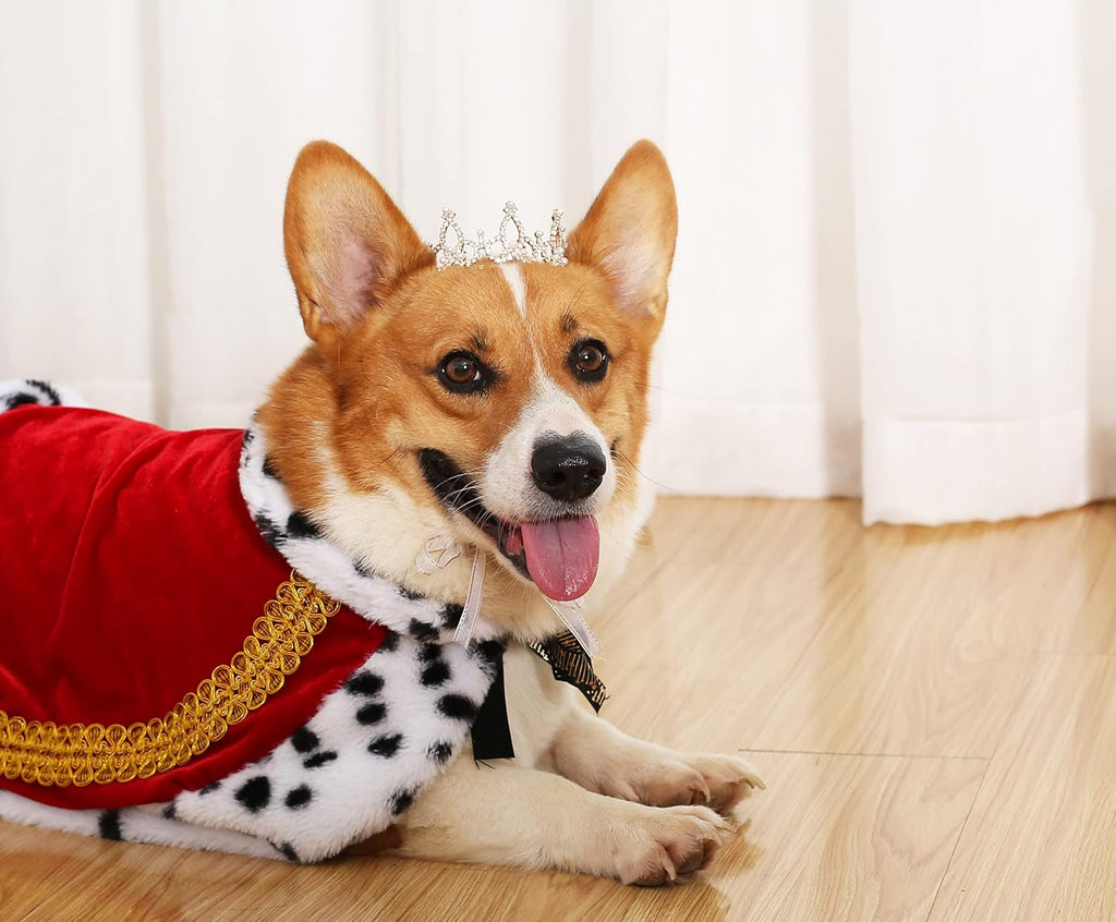 Lovelyshop Pet Series Silver Plated Royal Rhinestone Pearl Full Round Dog/Cat Crown for Rolyal Family Costume Hair Accessories-XSmall Size - Image 9