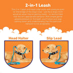 Heather's Heroes 1/4 inch mini headcollar side profile