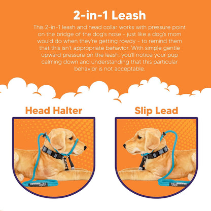 Heather's Heroes 1/4 inch mini headcollar side profile