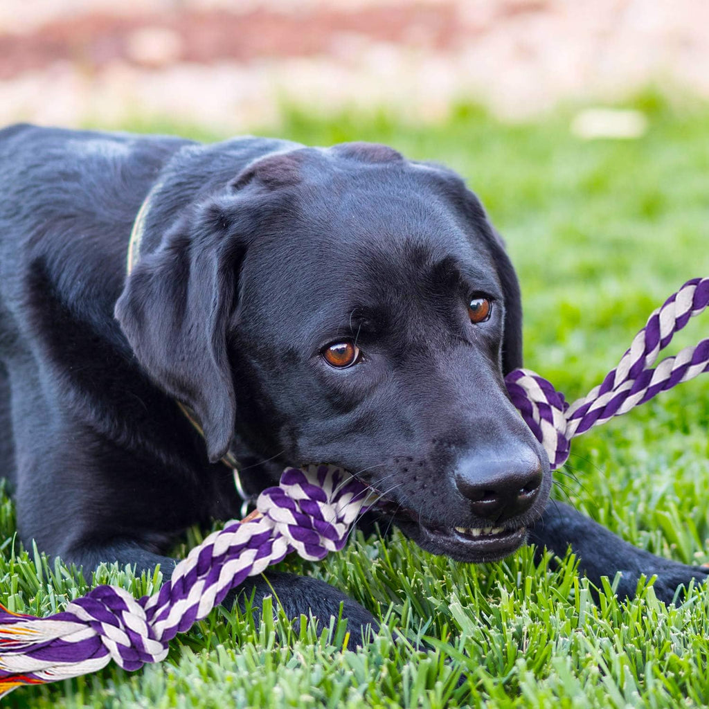 Tightly twisted dental dog rope fibers highlighting the plaque cleaning textures for oral health