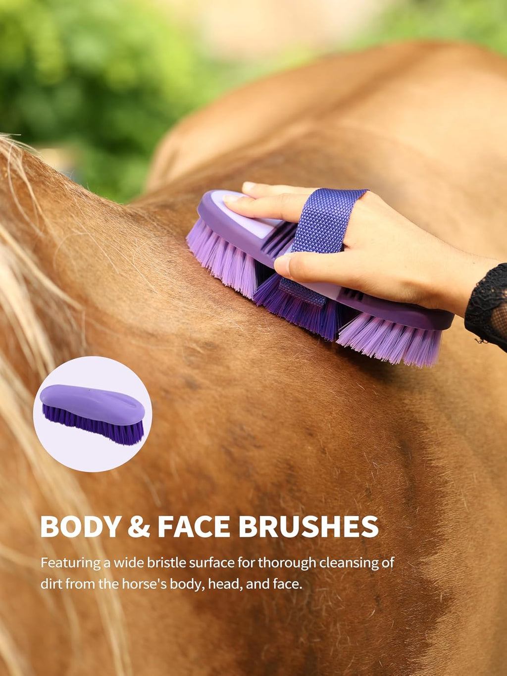 Horse grooming kit brushes arranged for cleaning mane and tail