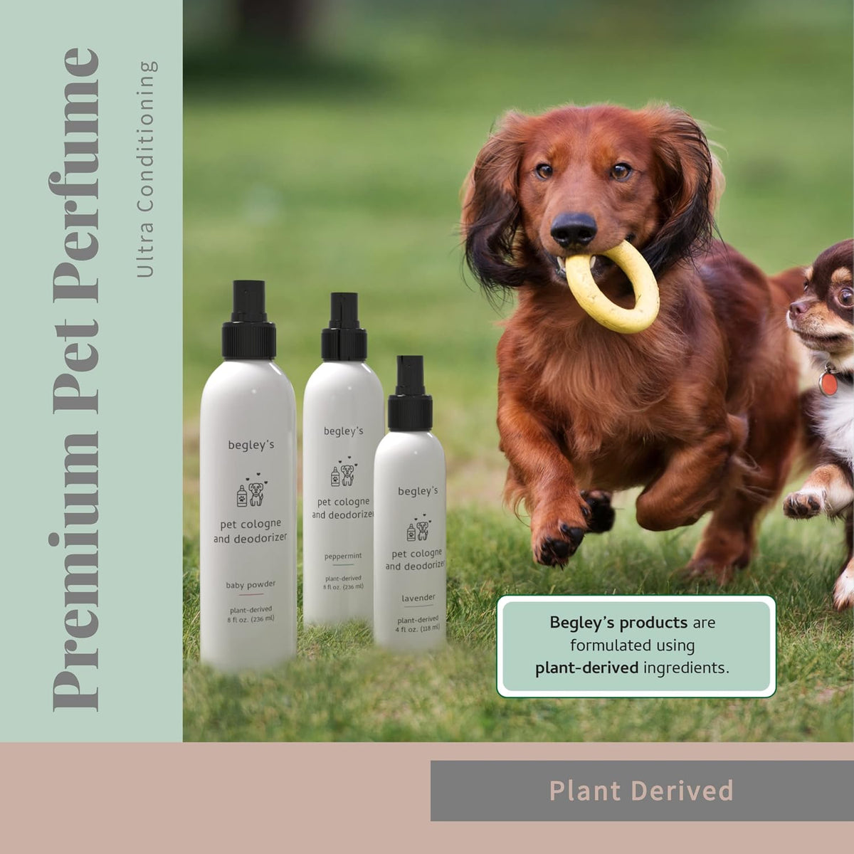Begleys baby powder dog cologne spray premium odor eliminator bottle