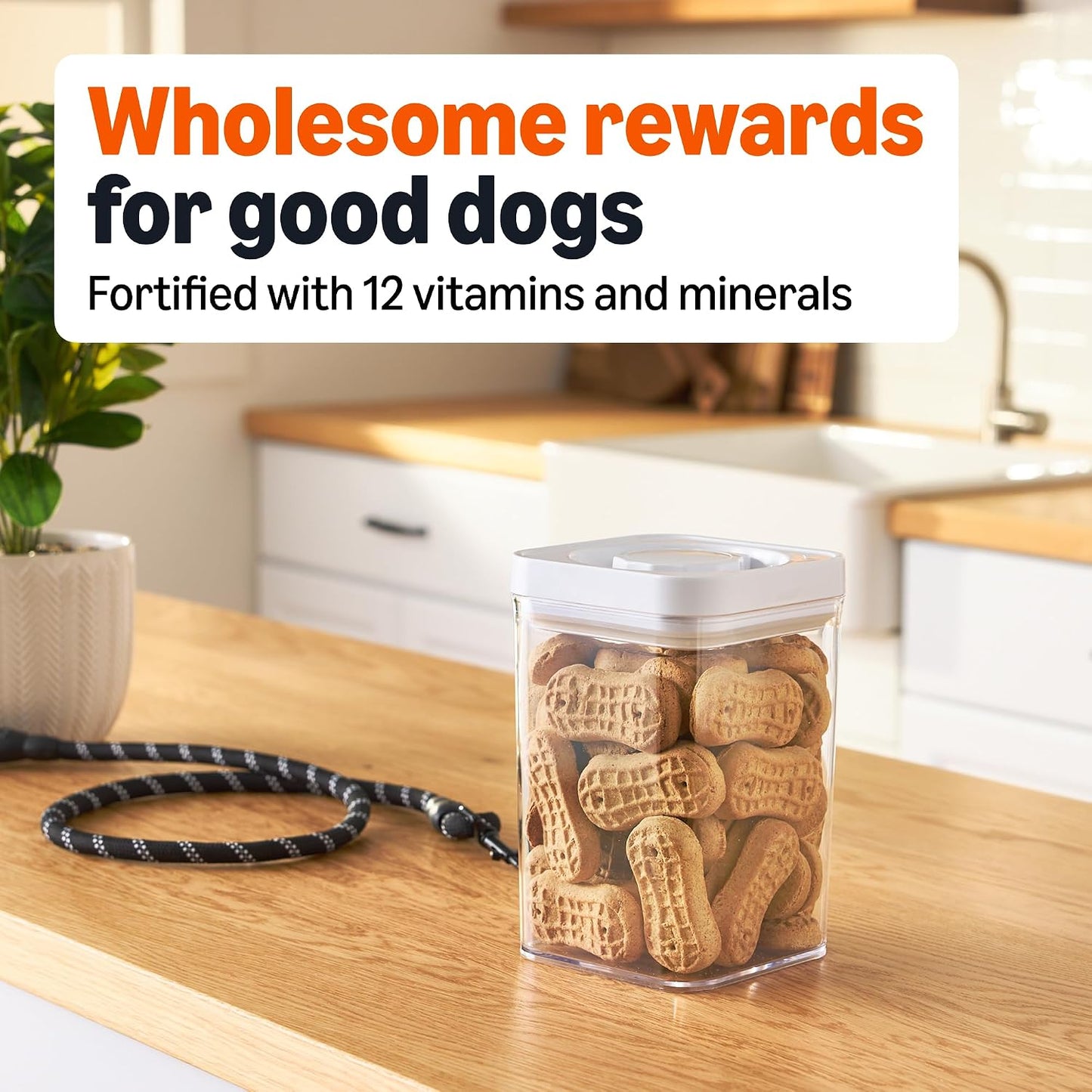 Crunchy dog biscuits for dental health and fresh breath close up