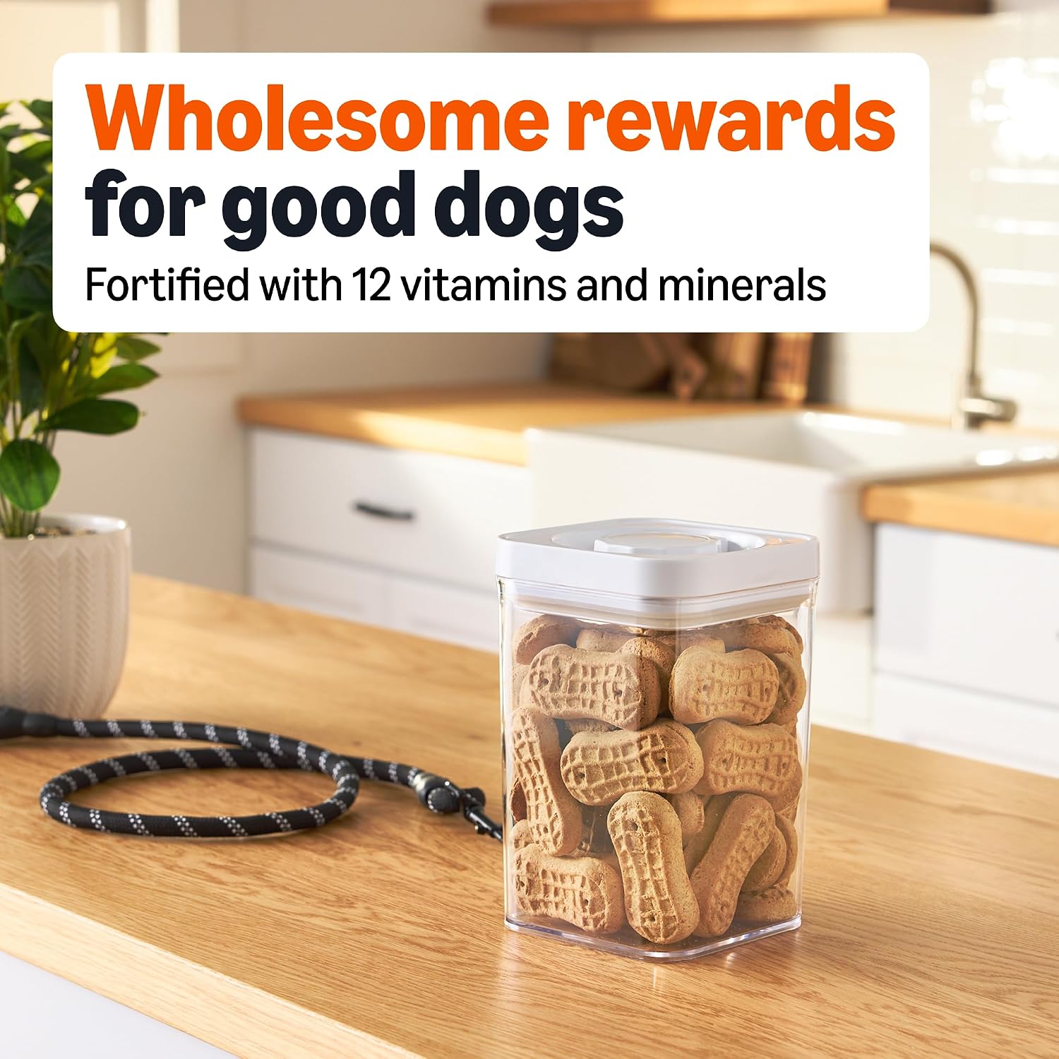 Crunchy dog biscuits for dental health and fresh breath close up